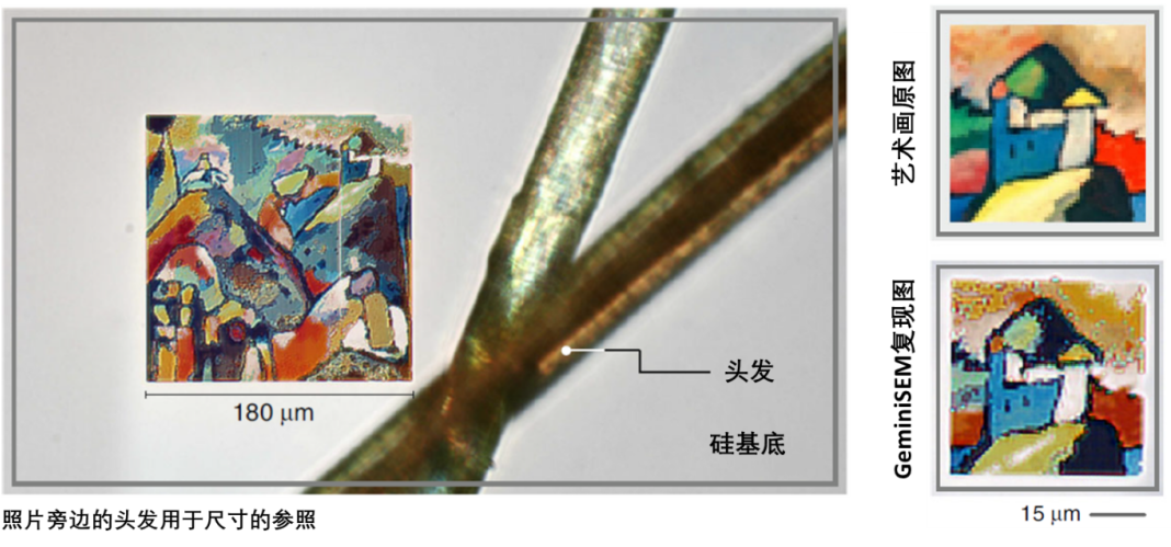 淄博蔡司淄博扫描电镜